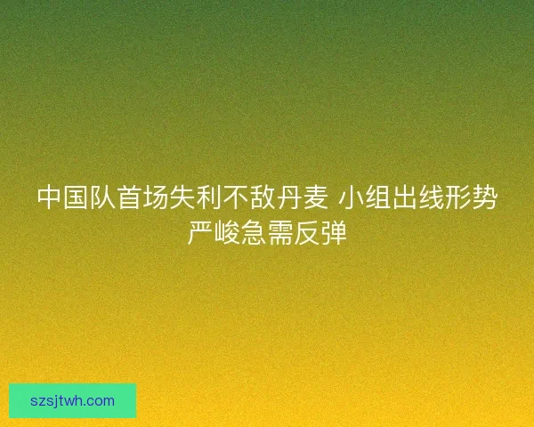 中国队首场失利不敌丹麦 小组出线形势严峻急需反弹 中国队首场失利不敌丹麦 小组出线形势严峻急需反弹
