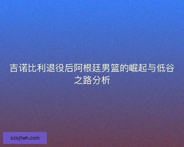 吉诺比利退役后阿根廷男篮的崛起与低谷之路分析 吉诺比利退役后阿根廷男篮的崛起与低谷之路分析